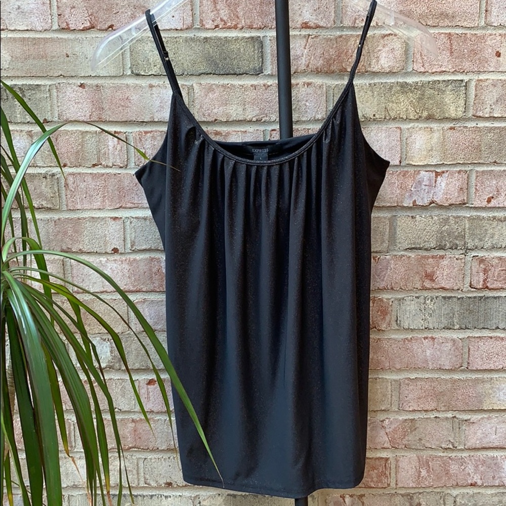 NWT Express shimmering bra cami